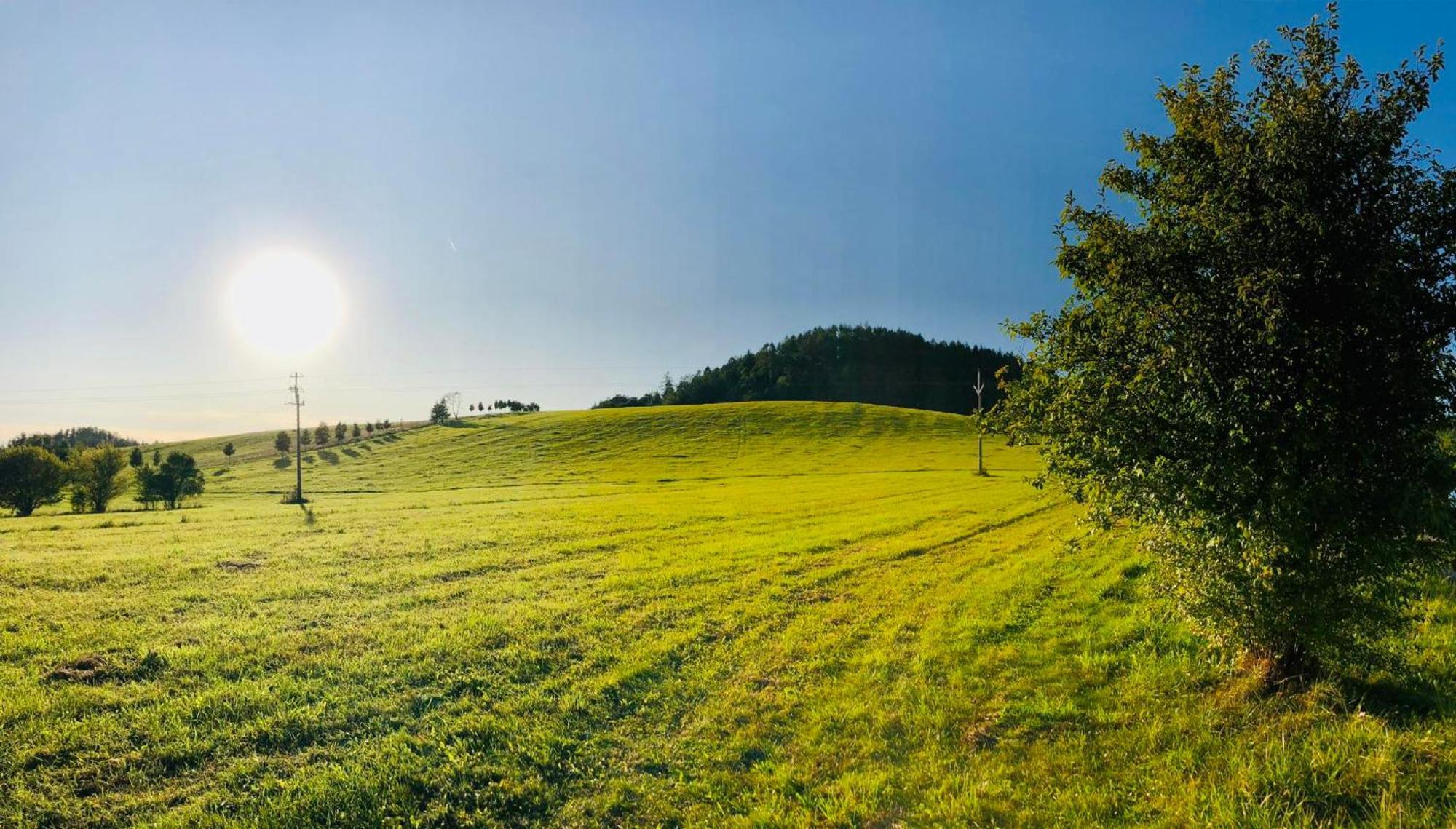 Apartmany U Josifka Велке Лосіни Екстер'єр фото